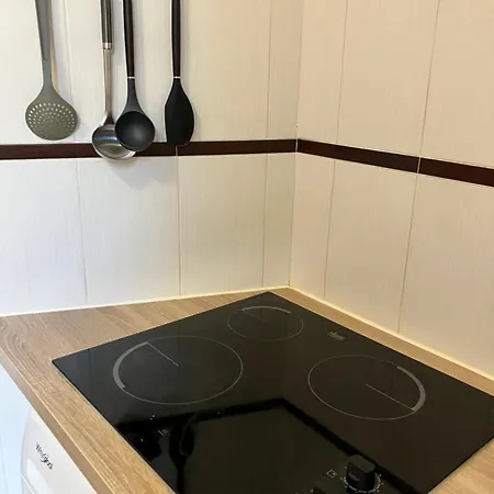 Dove Nest 公寓 菲雅克