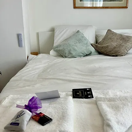 公寓 Dove Nest 菲雅克