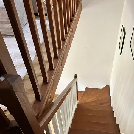 Dove Nest * 菲雅克