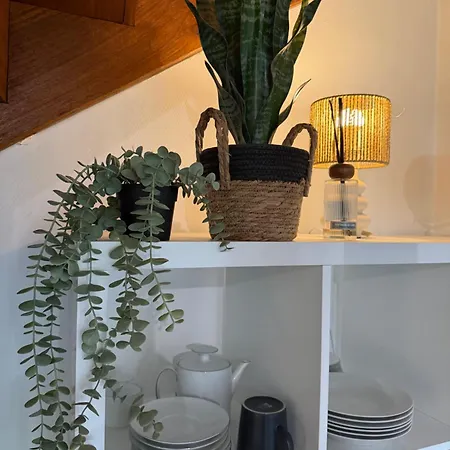 Dove Nest 公寓 菲雅克